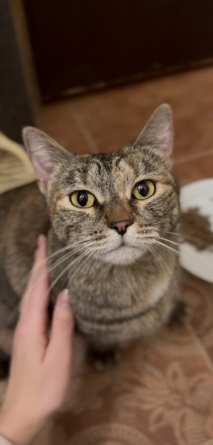 Линда из Домодедово